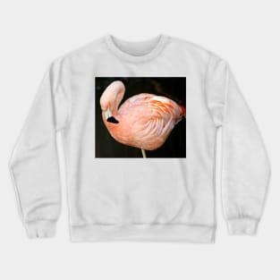 cli pink flamingo Crewneck Sweatshirt